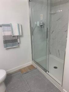 ein Bad mit einer Dusche und einem WC in der Unterkunft Cheerful and cozy 1 bedroom,separate entrance in Winnipeg