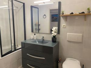 a bathroom with a sink and a toilet and a mirror at Charmant T2 in Rives