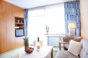 TV a/nebo společenská místnost v ubytování Chalet Swiss - Appartementhotel