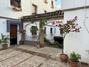 een binnenplaats van een wit gebouw met potplanten bij Apartamento Buen Pastor con parking gratuito in Córdoba