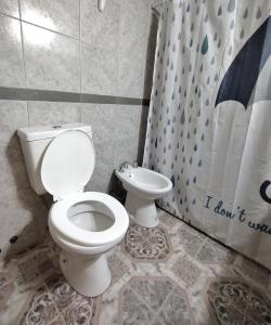 y baño con aseo y cortina de ducha. en Duplex "Valle Hermoso" en Malargüe