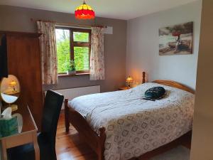 1 dormitorio con cama y ventana en Hillcrest House, en Carrick on Shannon