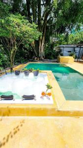 una mesa con vasos y plantas en una piscina en Luxury Home In Aguacatala, en Medellín