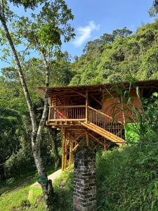 una casa en el árbol en medio de un bosque en Ecohotel Monteverde en La Vega