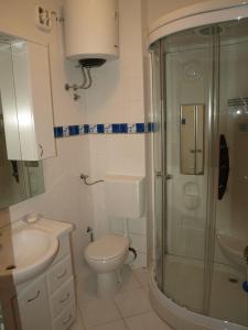 a bathroom with a shower and a toilet and a sink at Hill House Marija in Komiža