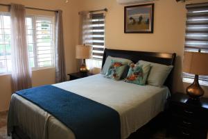 a bedroom with a large bed with two pillows at Soleil Palm View Villa in Priory