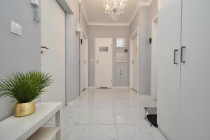 un pasillo con paredes blancas y una maceta en Rental Apartments Aleja Niepodległości, en Varsovia