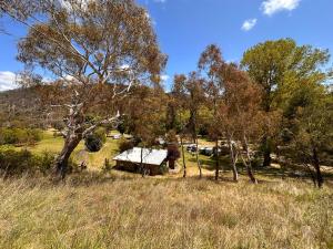 an old house in the middle of a field with trees at Omeo Holiday Park in Omeo