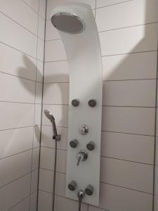 a shower with a shower head in a bathroom at Andris Apartments in Stuttgart