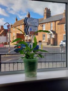 a plant sitting on a window sill with street signs at Southwell Stays in Southwell