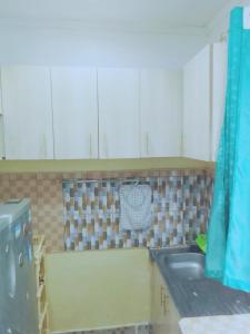 eine Küche mit einer Spüle und einer Arbeitsplatte in der Unterkunft BONNY KINGs FARMSTAY in Kiambu