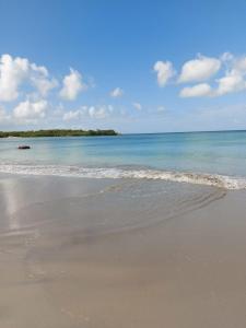 a sandy beach with the ocean and the sky at Appartements Residence Mahoghany in Sainte-Anne