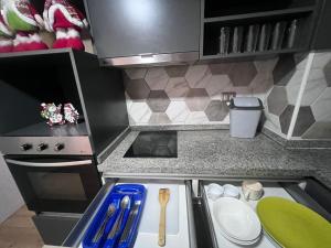 cocina con fogones y fregadero con utensilios. en Habitacion Grande con baño privado en departamento compartido en Santiago