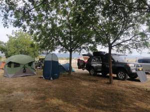 Φωτογραφία από το άλμπουμ του Pachingo la primavera σε San Francisco