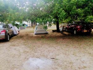 Φωτογραφία από το άλμπουμ του Pachingo la primavera σε San Francisco