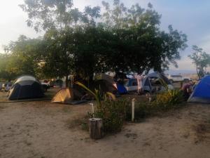 a group of tents pitched under a tree at Pachingo la primavera in San Francisco