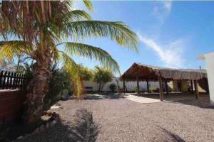 a palm tree next to a building with a tent at Departamento ‘El Bello’ en Palapa Ochoa in Loreto