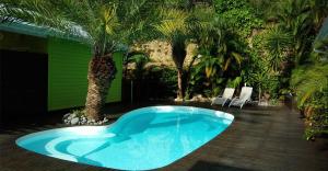 a swimming pool with a palm tree in a yard at Les 3 épices in Le Gosier