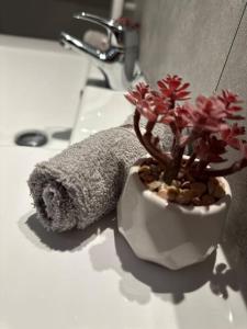 アミアンにあるL'Airzenity ~ Chill ~ Proche Gare ~ WiFiの白花瓶の植物