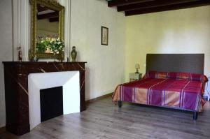 a bedroom with a bed with a fireplace and a mirror at Le Vieux Noyer in Réaux