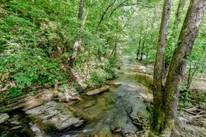 a stream in the middle of a forest with trees at Creekside cabin in Townsend