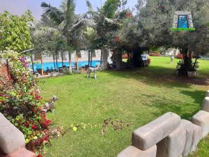 a yard with a dog standing in the grass at II IMPERIO in Cieneguilla