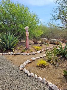 Zahrada ubytování Villa San Sebastian Curaçao