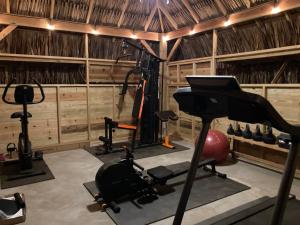 Fitness centrum a/nebo fitness zařízení v ubytování Villa San Sebastian Curaçao