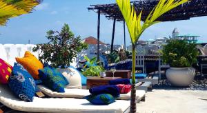 Giardino di The Swahili House