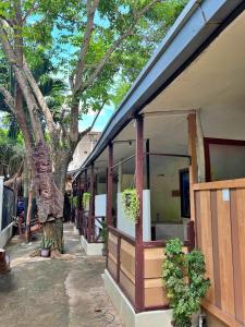 a building with a tree in front of it at Aquaholik Traveler's Lodge in El Nido