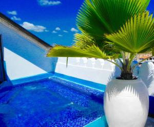 a white vase with a plant in it next to a pool at The Swahili House in Zanzibar City