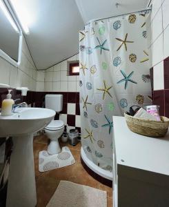 a bathroom with a sink and a shower curtain at Casuta noastra din Predeal in Predeal