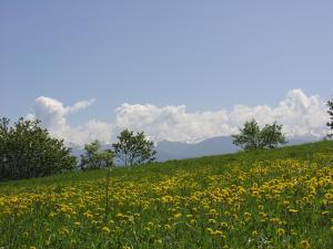 Kép Agriturismo Girasole szállásáról Fai della Paganellában a galériában
