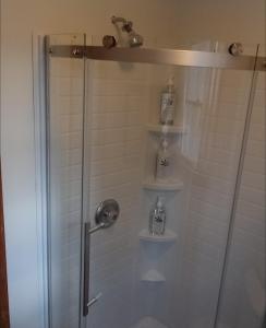 a bathroom with a shower with a glass door at Breezy Hill Eccentric Studio Cottage in Accord