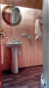 a bathroom with a sink and a mirror at Cottage Ozerniy in Lazeshchyna