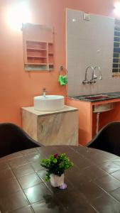 a bathroom with a sink and a table with a plant at RUSHITHA HOME STAY-AC Rooms-FREE WIFI-FLAT TV- KITCHEN-DOOR SERVICE-NEAR TO ALIPIRI in Tirupati