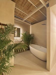 a bathroom with a bath tub and a plant at AMBERGRIS in Liên Trì (3)