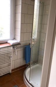 a shower with a glass door in a bathroom at Haus am Wald in Hohndorf