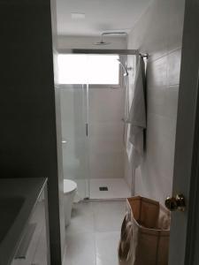 La petite salle de bains est pourvue d'une douche et de toilettes. dans l'établissement Zona Norte Vistas, à Madrid