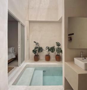 a bathroom with a swimming pool and two potted plants at AMBERGRIS in Liên Trì (3)