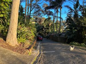 棕榈滩Palm beach Sydney, Modern home with water view的相册照片