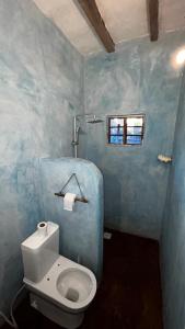 a blue bathroom with a toilet and a window at Stonefish Inn Jambiani in Jambiani