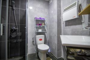 a small bathroom with a toilet and a shower at GONDOLA apartman in Zlatibor