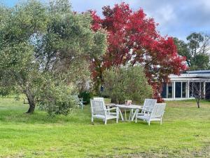 a table and chairs in the grass in front of a house at The Vigneron's Cottage at Dragonfly Estate Vineyard - Stanthorpe in Severnlea