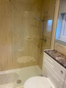 La salle de bains est pourvue d'une douche en verre et de toilettes. dans l'établissement Palm View, à Trowell