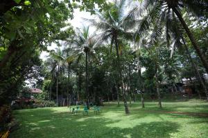 einen Park mit Palmen und Picknicktischen im Gras in der Unterkunft Nisarga Resort in Kaglipur