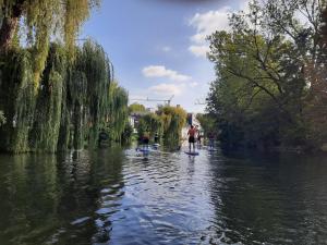 a group of people are paddle boarding down a river at Yoga Atelier Vaihingen Enz in Vaihingen an der Enz
