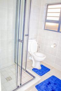 a bathroom with a toilet and a shower with blue rugs at The Blyde Crystal Lagoon in Pretoria