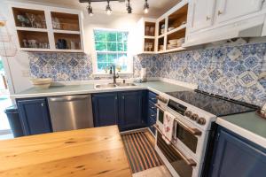 uma cozinha azul e branca com um lavatório e um fogão em The Castle: Lake Views, Comfort, Nature, Decor em Cambridge Springs