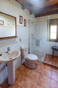 ein Bad mit einem WC, einem Waschbecken und einer Dusche in der Unterkunft Apartamentos El Pedrayu in Onís